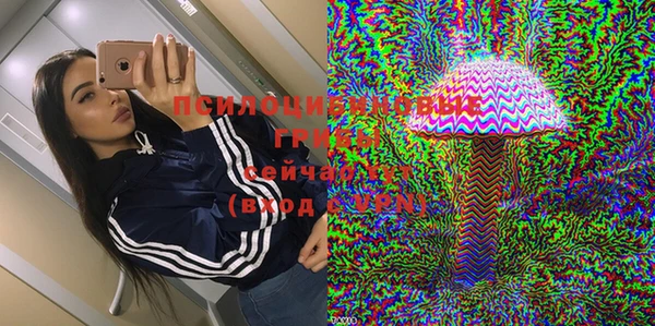 мяу мяу мука Белокуриха