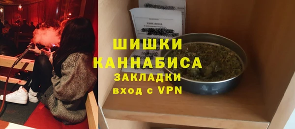 мдпв Бронницы
