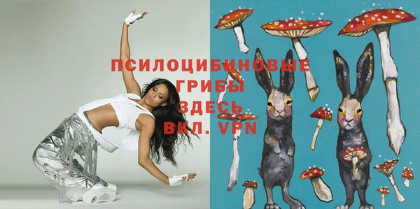 мяу мяу мука Белокуриха